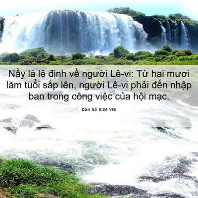 Picture 06 - Dân Số 8:24 VIE - Nầy là lệ định về người Lê-vi: Từ - Bible Verse Picture