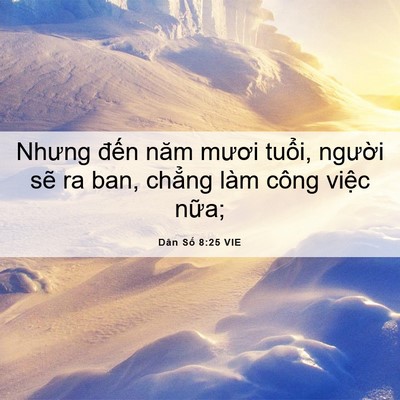 Picture 06 - Dân Số 8:25 VIE - Nhưng đến năm mươi tuổi, người sẽ - Bible Verse Picture