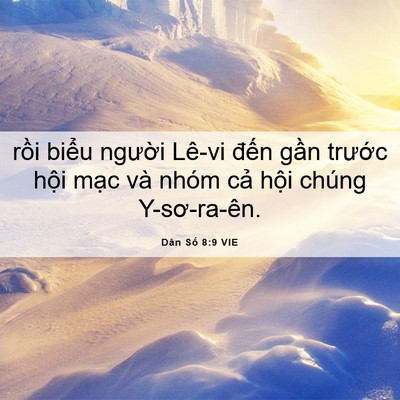 Picture 06 - Dân Số 8:9 VIE - rồi biểu người Lê-vi đến gần - Bible Verse Picture