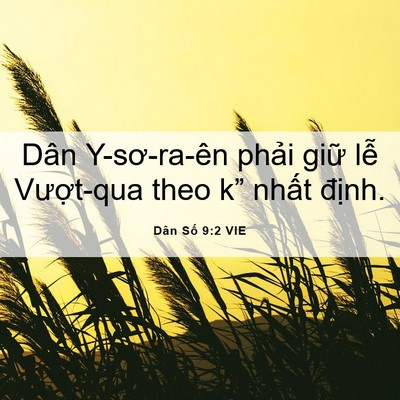 Picture 06 - Dân Số 9:2 VIE - Dân Y-sơ-ra-ên phải giữ lễ Vượt-qua - Bible Verse Picture
