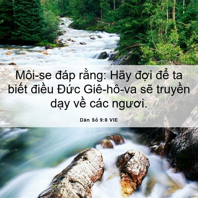 Picture 06 - Dân Số 9:8 VIE - Môi-se đáp rằng: Hãy đợi để ta biết - Bible Verse Picture