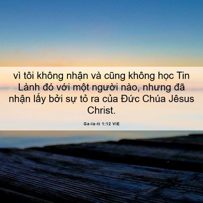 Picture 06 - Ga-la-ti 1:12 VIE - vì tôi không nhận và cũng không học Tin - Bible Verse Picture