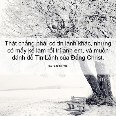 Picture 06 - Ga-la-ti 1:7 VIE - Thật chẳng phải có tin lành khác, nhưng - Bible Verse Picture