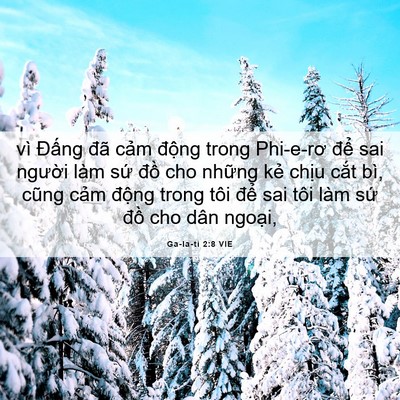 Picture 06 - Ga-la-ti 2:8 VIE - vì Đấng đã cảm động trong Phi-e-rơ - Bible Verse Picture