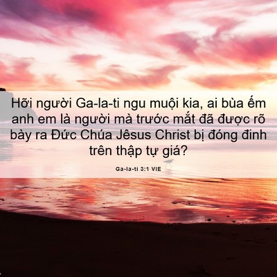 Picture 06 - Ga-la-ti 3:1 VIE - Hỡi người Ga-la-ti ngu muội kia, ai bùa - Bible Verse Picture