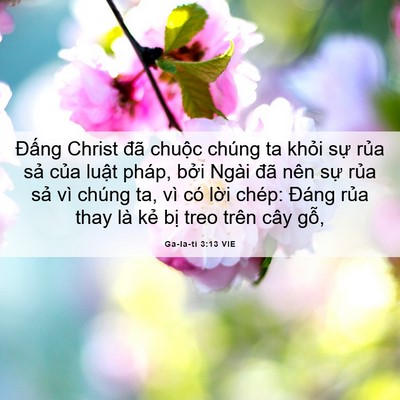 Picture 06 - Ga-la-ti 3:13 VIE - Đấng Christ đã chuộc chúng ta khỏi sự - Bible Verse Picture