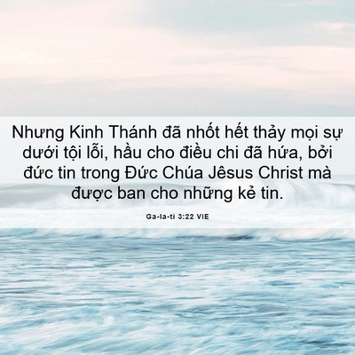 Picture 06 - Ga-la-ti 3:22 VIE - Nhưng Kinh Thánh đã nhốt hết thảy mọi - Bible Verse Picture
