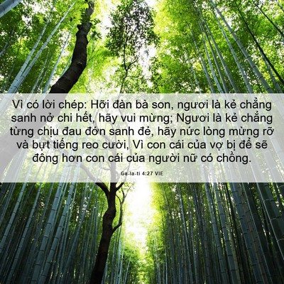 Picture 06 - Ga-la-ti 4:27 VIE - Vì có lời chép: Hỡi đàn bà son, ngươi - Bible Verse Picture