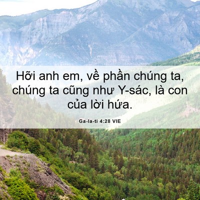 Picture 06 - Ga-la-ti 4:28 VIE - Hỡi anh em, về phần chúng ta, chúng ta - Bible Verse Picture