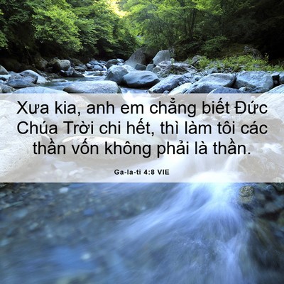 Picture 06 - Ga-la-ti 4:8 VIE - Xưa kia, anh em chẳng biết Đức Chúa - Bible Verse Picture