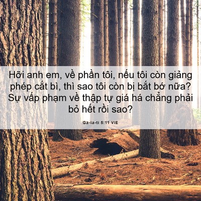Picture 06 - Ga-la-ti 5:11 VIE - Hỡi anh em, về phần tôi, nếu tôi còn - Bible Verse Picture