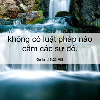 Picture 06 - Ga-la-ti 5:23 VIE - không có luật pháp nào cấm các sự - Bible Verse Picture