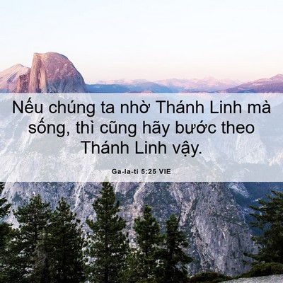 Picture 06 - Ga-la-ti 5:25 VIE - Nếu chúng ta nhờ Thánh Linh mà sống, - Bible Verse Picture