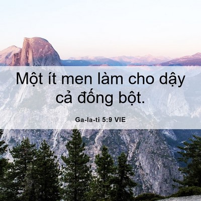 Picture 06 - Ga-la-ti 5:9 VIE - Một ít men làm cho dậy cả đống - Bible Verse Picture