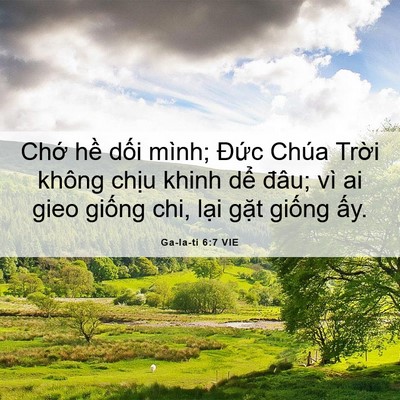 Picture 06 - Ga-la-ti 6:7 VIE - Chớ hề dối mình; Đức Chúa Trời - Bible Verse Picture