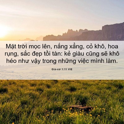 Picture 06 - Gia-cơ 1:11 VIE - Mặt trời mọc lên, nắng xẳng, cỏ - Bible Verse Picture