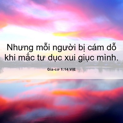 Picture 06 - Gia-cơ 1:14 VIE - Nhưng mỗi người bị cám dỗ khi mắc - Bible Verse Picture