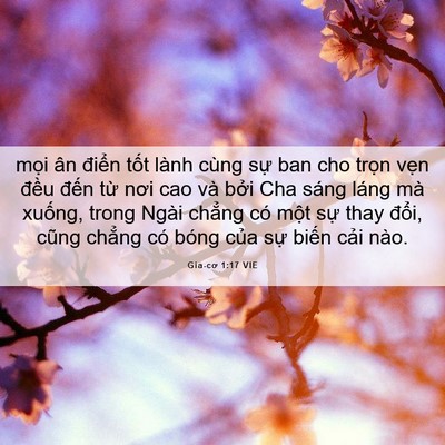 Picture 06 - Gia-cơ 1:17 VIE - mọi ân điển tốt lành cùng sự ban cho - Bible Verse Picture