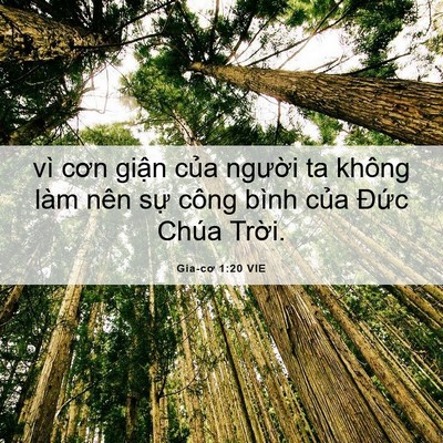 Picture 06 - Gia-cơ 1:20 VIE - vì cơn giận của người ta không làm - Bible Verse Picture
