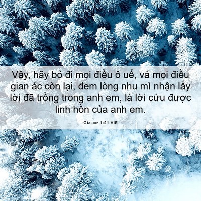 Picture 06 - Gia-cơ 1:21 VIE - Vậy, hãy bỏ đi mọi điều ô uế, và - Bible Verse Picture