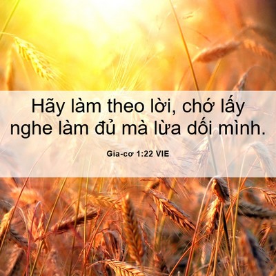 Picture 06 - Gia-cơ 1:22 VIE - Hãy làm theo lời, chớ lấy nghe làm đủ - Bible Verse Picture