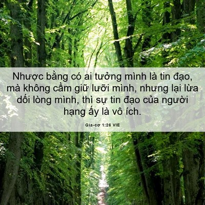 Picture 06 - Gia-cơ 1:26 VIE - Nhược bằng có ai tưởng mình là tin - Bible Verse Picture