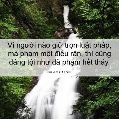 Picture 06 - Gia-cơ 2:10 VIE - Vì người nào giữ trọn luật pháp, mà - Bible Verse Picture