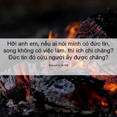 Picture 06 - Gia-cơ 2:14 VIE - Hỡi anh em, nếu ai nói mình có đức tin, - Bible Verse Picture