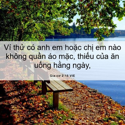 Picture 06 - Gia-cơ 2:15 VIE - Ví thử có anh em hoặc chị em nào không - Bible Verse Picture