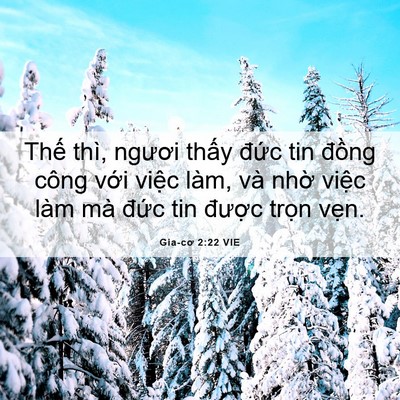Picture 06 - Gia-cơ 2:22 VIE - Thế thì, ngươi thấy đức tin đồng - Bible Verse Picture
