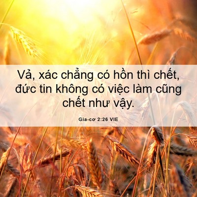 Picture 06 - Gia-cơ 2:26 VIE - Vả, xác chẳng có hồn thì chết, đức - Bible Verse Picture