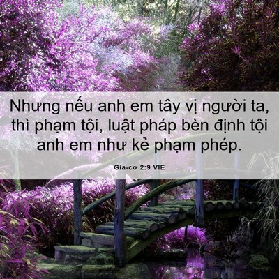 Picture 06 - Gia-cơ 2:9 VIE - Nhưng nếu anh em tây vị người ta, thì - Bible Verse Picture