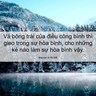 Picture 06 - Gia-cơ 3:18 VIE - Vả bông trái của điều công bình thì - Bible Verse Picture