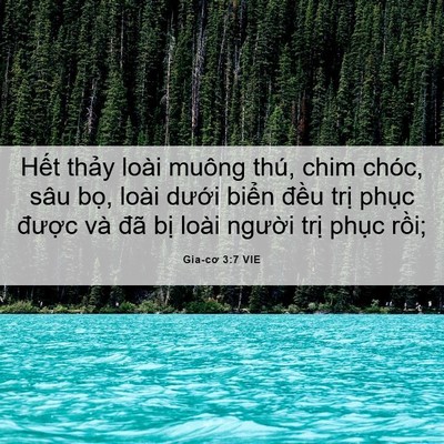 Picture 06 - Gia-cơ 3:7 VIE - Hết thảy loài muông thú, chim chóc, sâu - Bible Verse Picture