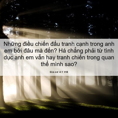 Picture 06 - Gia-cơ 4:1 VIE - Những điều chiến đấu tranh cạnh trong - Bible Verse Picture