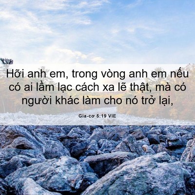 Picture 06 - Gia-cơ 5:19 VIE - Hỡi anh em, trong vòng anh em nếu có ai - Bible Verse Picture
