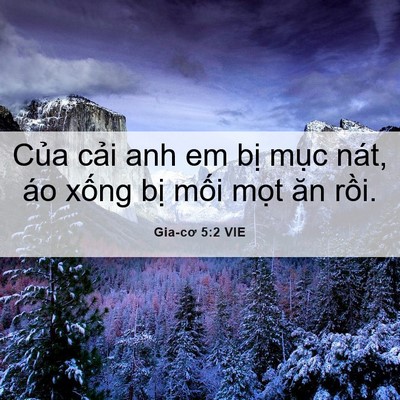 Picture 06 - Gia-cơ 5:2 VIE - Của cải anh em bị mục nát, áo xống - Bible Verse Picture
