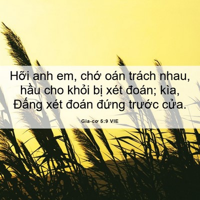 Picture 06 - Gia-cơ 5:9 VIE - Hỡi anh em, chớ oán trách nhau, hầu cho - Bible Verse Picture