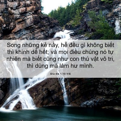 Picture 06 - Giu-đe 1:10 VIE - Song những kẻ nầy, hễ đều gì không - Bible Verse Picture