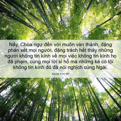 Picture 06 - Giu-đe 1:15 VIE - Nầy, Chúa ngự đến với muôn vàn - Bible Verse Picture
