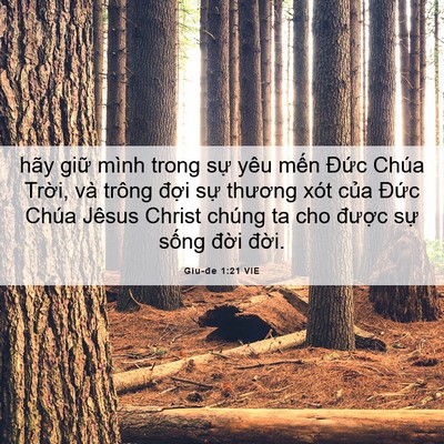 Picture 06 - Giu-đe 1:21 VIE - hãy giữ mình trong sự yêu mến Đức - Bible Verse Picture