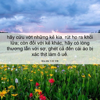 Picture 06 - Giu-đe 1:23 VIE - hãy cứu vớt những kẻ kia, rút họ ra - Bible Verse Picture