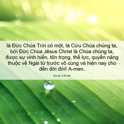 Picture 06 - Giu-đe 1:25 VIE - là Đức Chúa Trời có một, là Cứu - Bible Verse Picture