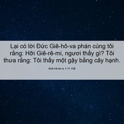 Picture 06 - Giê-rê-mi-a 1:11 VIE - Lại có lời Đức Giê-hô-va phán cùng - Bible Verse Picture