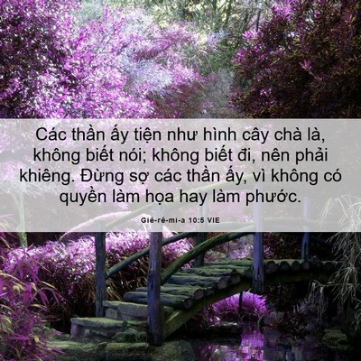 Picture 06 - Giê-rê-mi-a 10:5 VIE - Các thần ấy tiện như hình cây chà là, - Bible Verse Picture