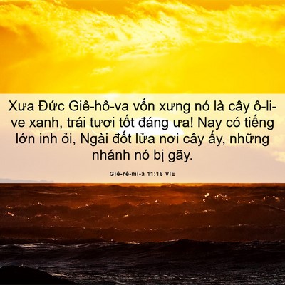 Picture 06 - Giê-rê-mi-a 11:16 VIE - Xưa Đức Giê-hô-va vốn xưng nó là cây - Bible Verse Picture
