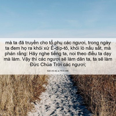 Picture 06 - Giê-rê-mi-a 11:4 VIE - mà ta đã truyền cho tổ phụ các ngươi, - Bible Verse Picture