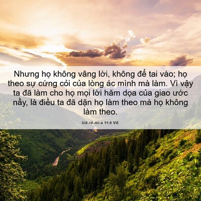 Picture 06 - Giê-rê-mi-a 11:8 VIE - Nhưng họ không vâng lời, không để tai - Bible Verse Picture