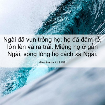 Picture 06 - Giê-rê-mi-a 12:2 VIE - Ngài đã vun trồng họ; họ đã đâm - Bible Verse Picture