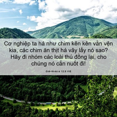 Picture 06 - Giê-rê-mi-a 12:9 VIE - Cơ nghiệp ta há như chim kên kên vằn - Bible Verse Picture